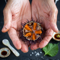 Creamy Fresh Uni Sea Urchin Sashimi